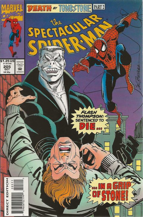 comic book cover of spectacular spider-man #205